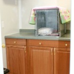 Grooming room in cattery3