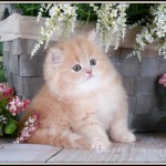 Click on my picture to find out more about me!