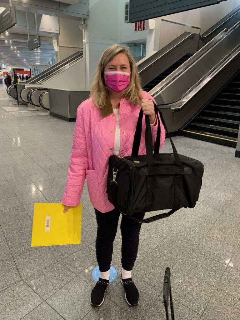 Doll Face Persian Kittens