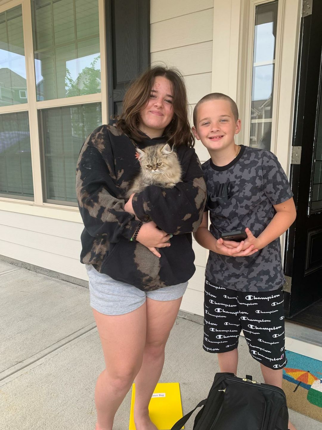 Nanny Delivery Service Doll Face Persian KittensPersian Kittens For